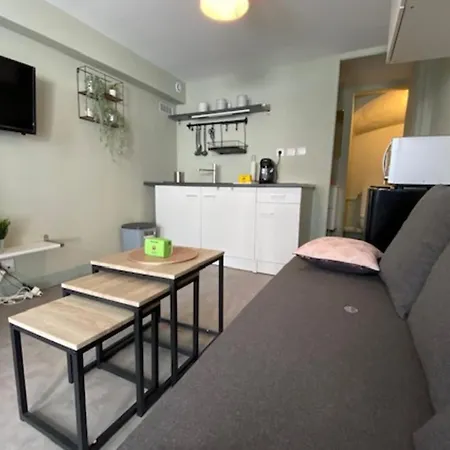 Beautiful 18 M Studio - Downtown *